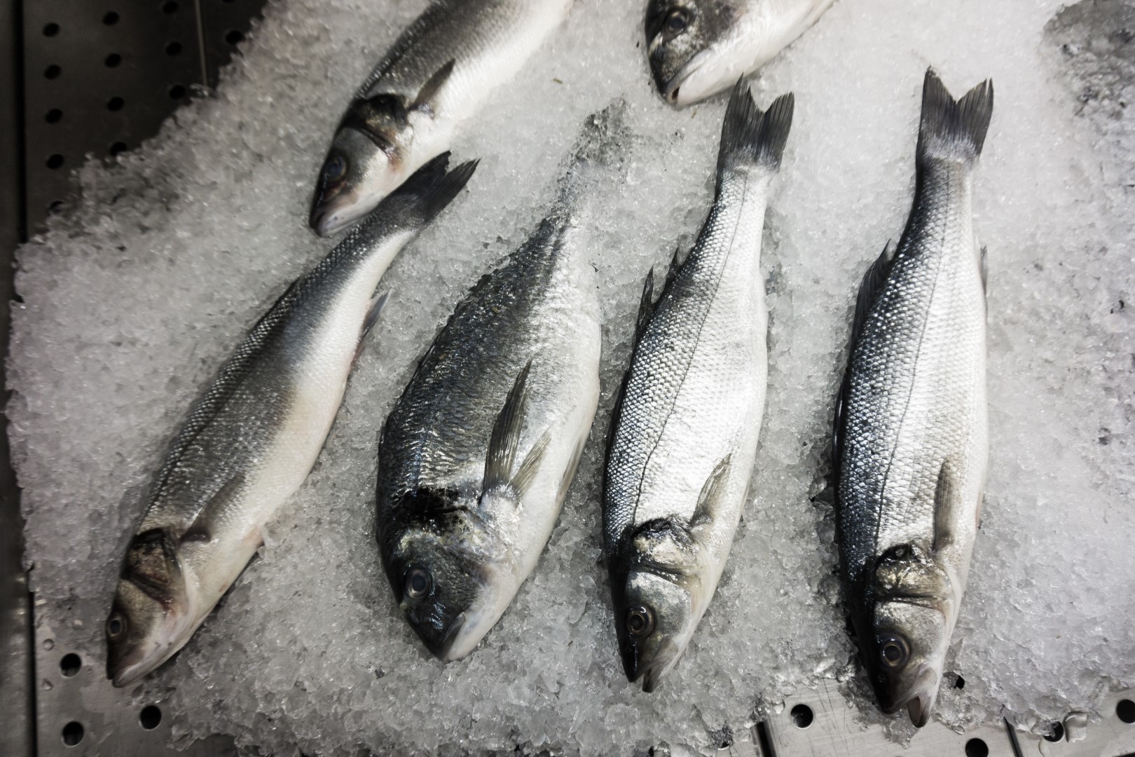 Nutrition Analysis for Sea bass and Sea bream Blue Island